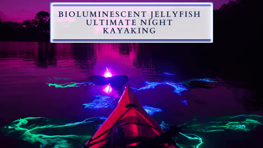 Bioluminescent Jellyfish in Titusville - Your Ultimate Night Kayaking Experience - Trails And Lakes