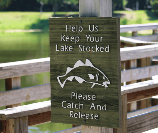 Best Practices for Catch and Release Fishing - Trails And Lakes