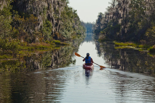 Exploring Florida's Alligator Territory: A Safe Kayaking Adventure Guide - Trails And Lakes