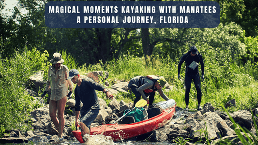 The Day I Kayaked with the Magical Manatees of Crystal River, Florida. - Trails And Lakes
