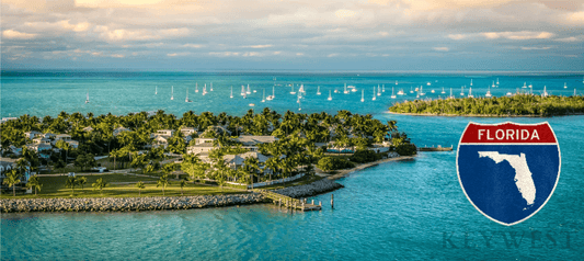 Top 10 Places To Fish in Florida - Discovering Florida's Premier Fishing Destinations - Trails And Lakes